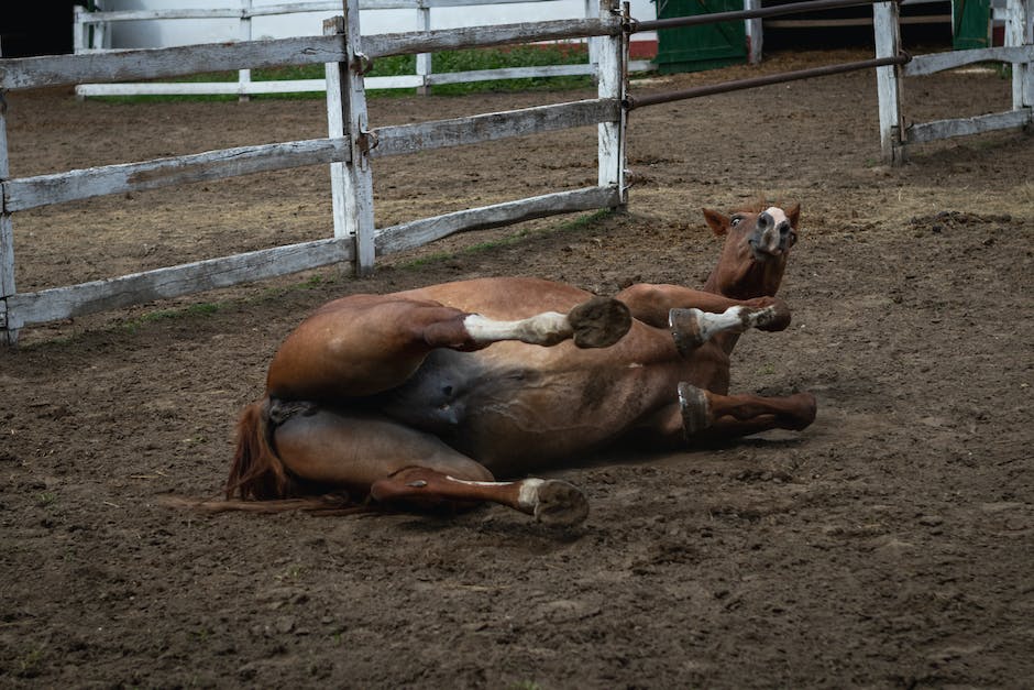 wie heißt das pferd bei schuh des manitu_2