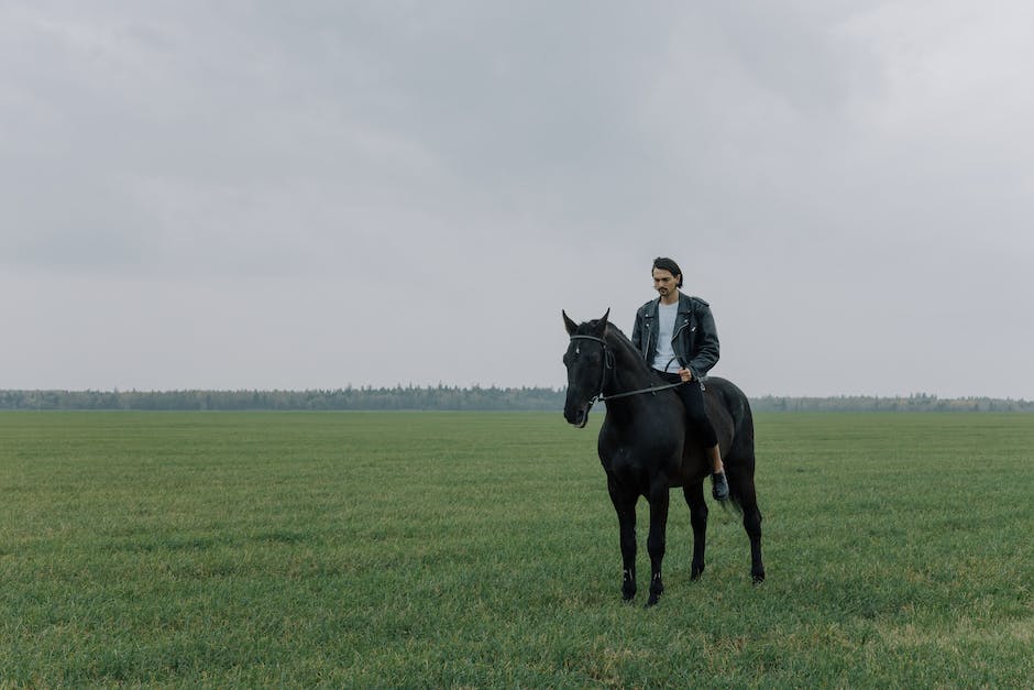 wie lange kann ein pferd ohne wasser auskommen_1