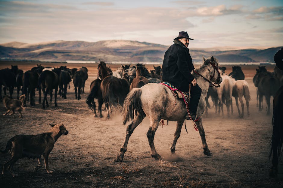 wie lange kann man pferde reiten_1