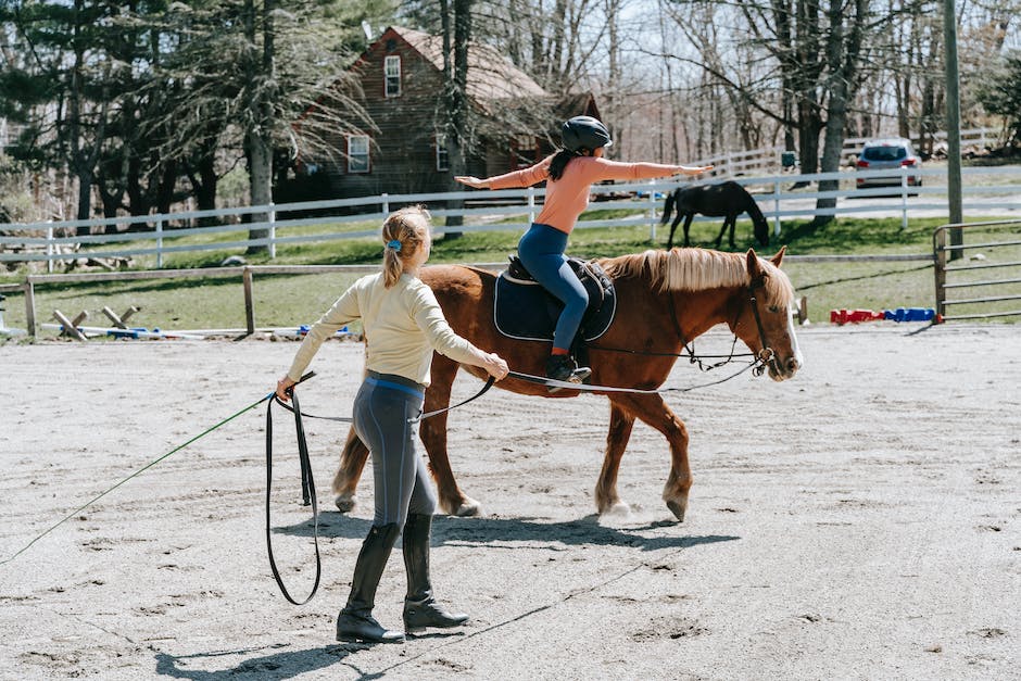 wie lange kann man pferde reiten_2