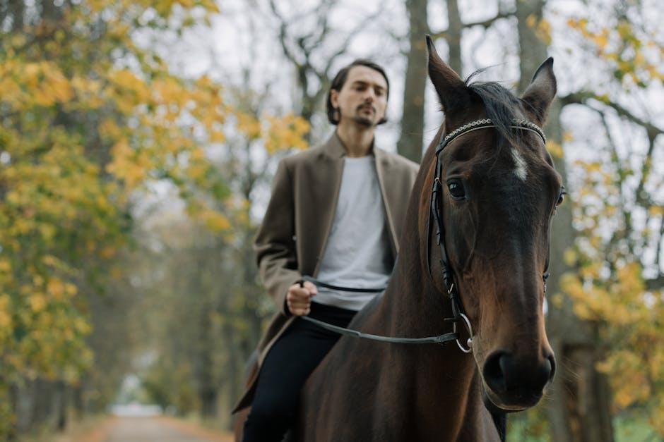 wie viel kostet ein pferd durchschnittlich_2