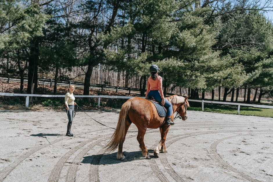 wie weit kann ein pferd am tag reiten_2